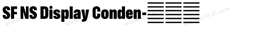 SF NS Display Conden字体转换